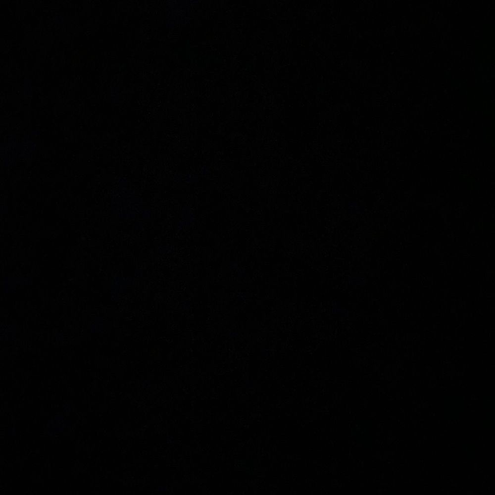 Meet your Posher, Sonnie 🌻🤙🏽